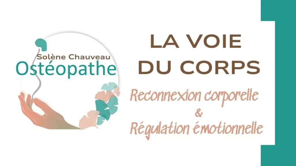 Guide reconnexion corporelle et régulation émotionnelle
